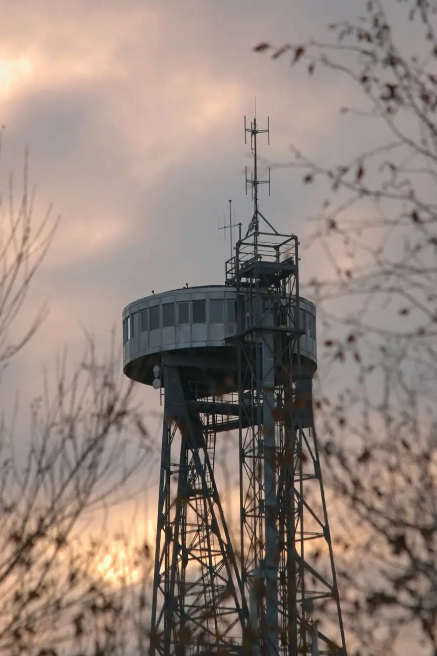 Aalborg Tower among trees at sunset