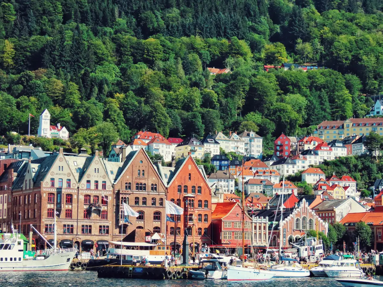 Colourful Bryggen façades below Bergen’s wooded hillside