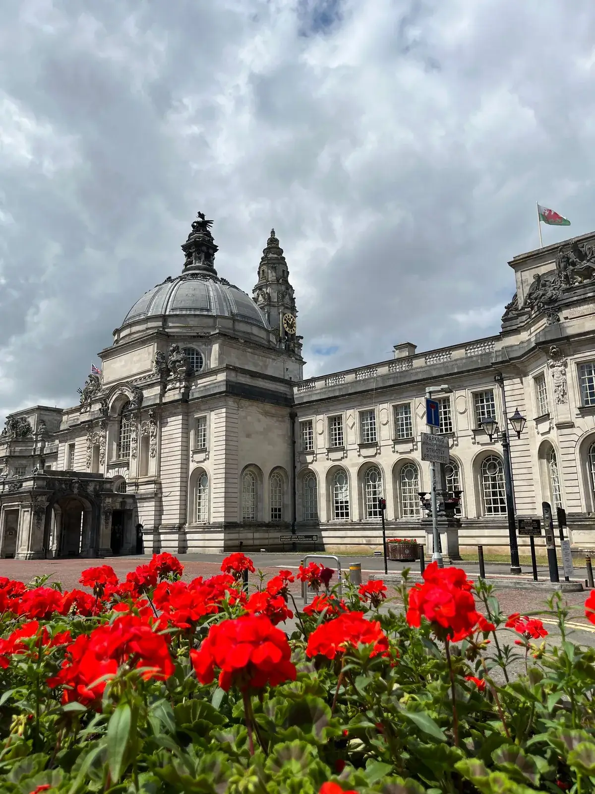 Red flowers in front of Cardiff City Hall