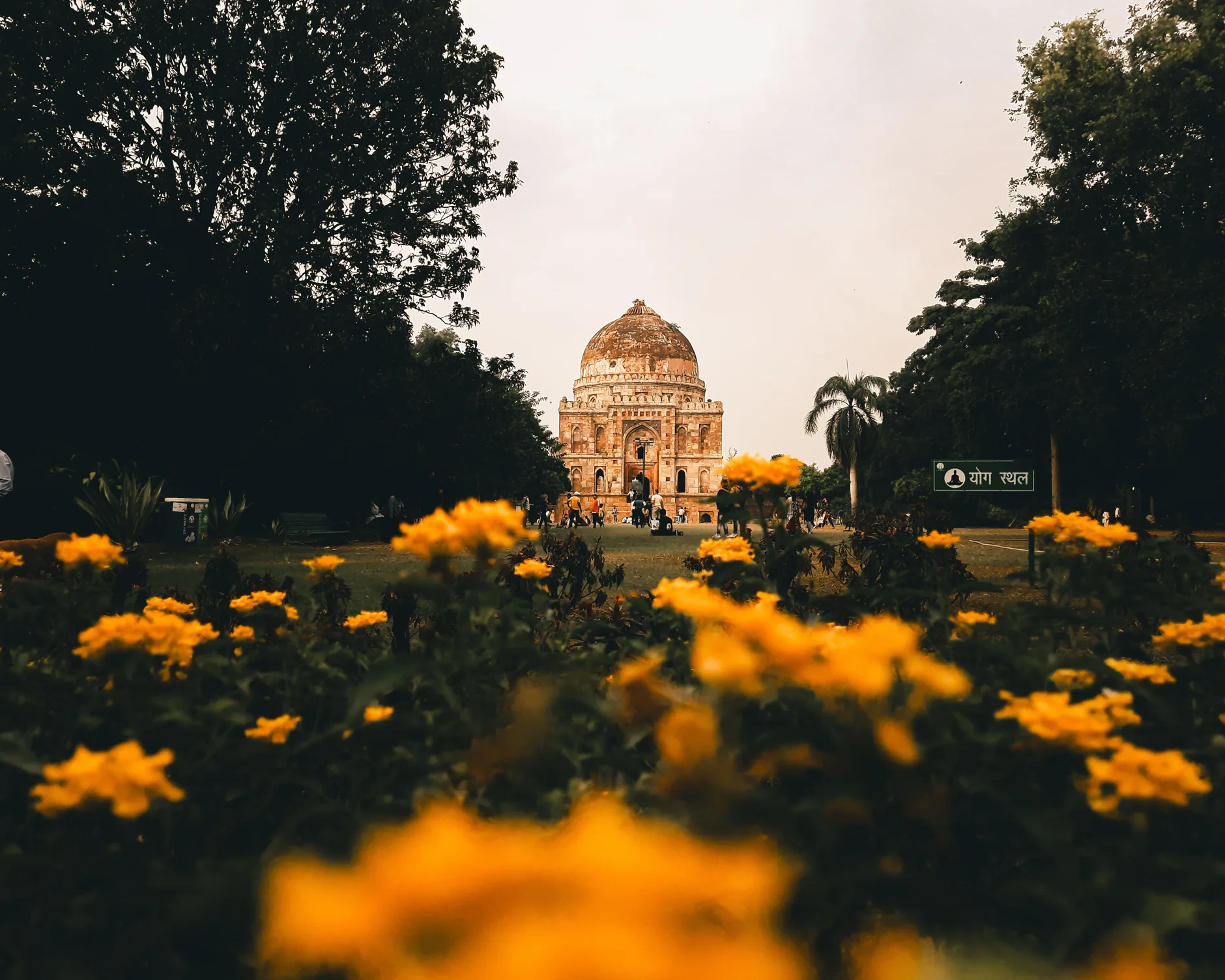 Domed stone monument framed by trees and yellow flowers in Delhi’s Lodhi Garden