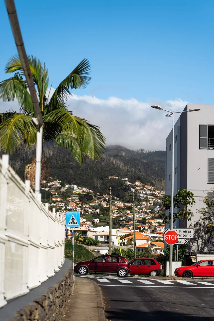 Street in Funchal with white buildings and a green mountain backdrop