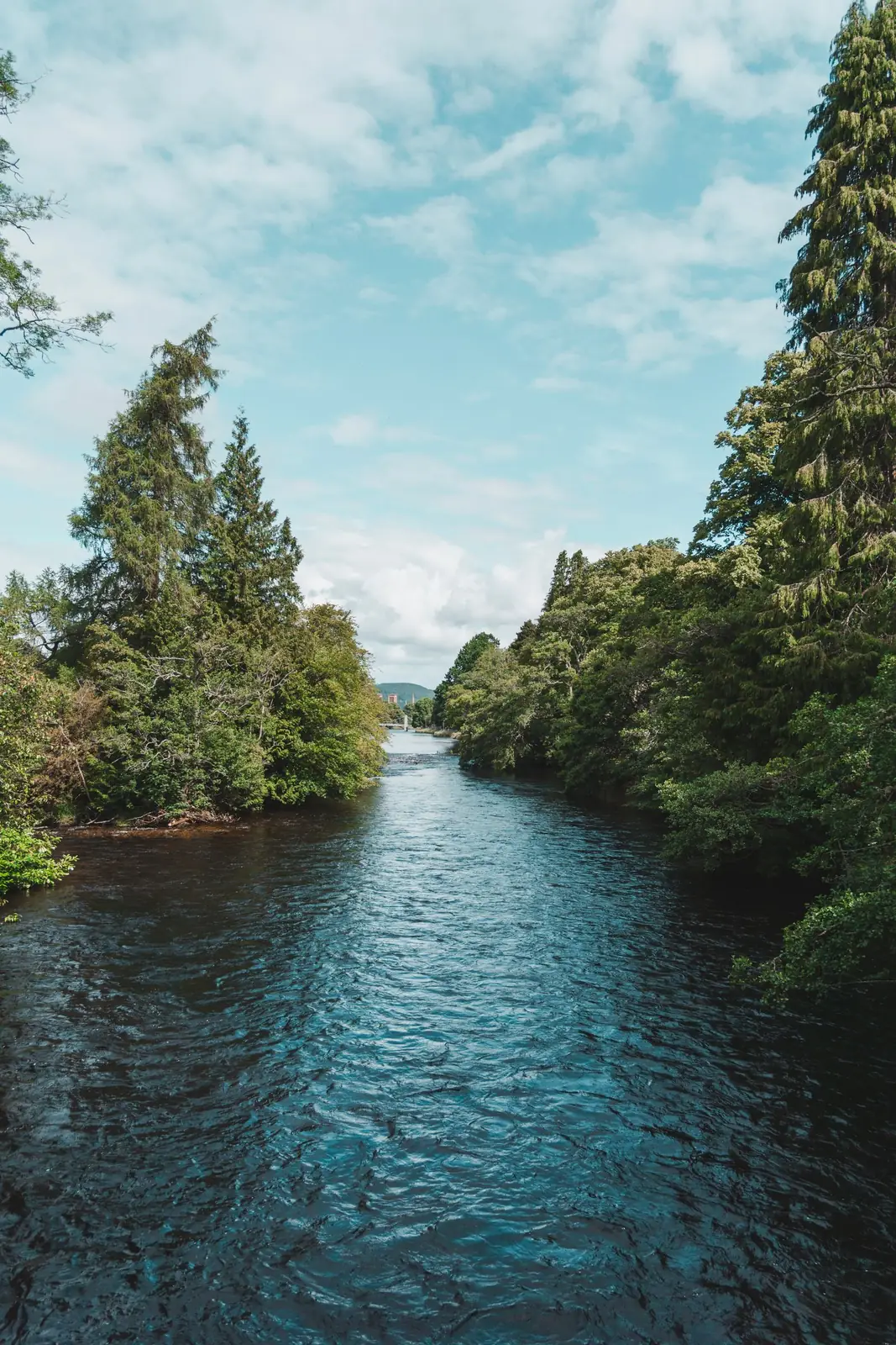 The River Ness bordered by trees in Inverness