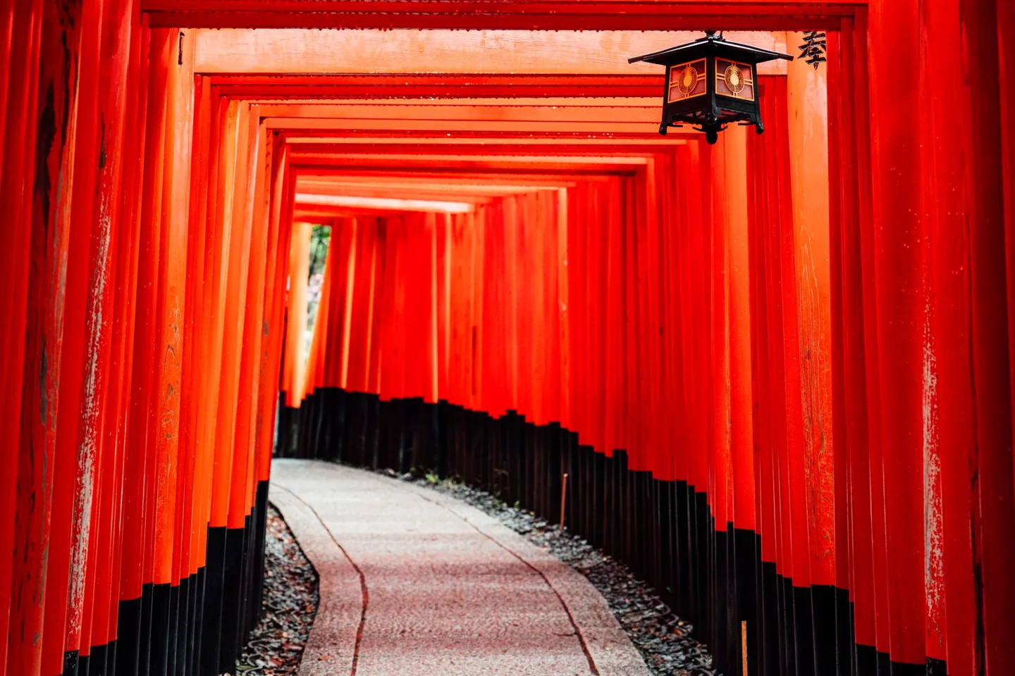 Vermilion torii gates curving along a stone path at Fushimi Inari Taisha