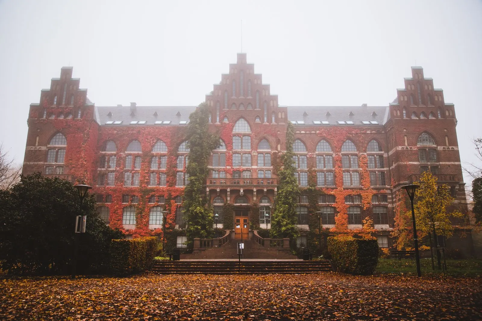 Lund University Library’s ivy-covered brick facade in autumn mist