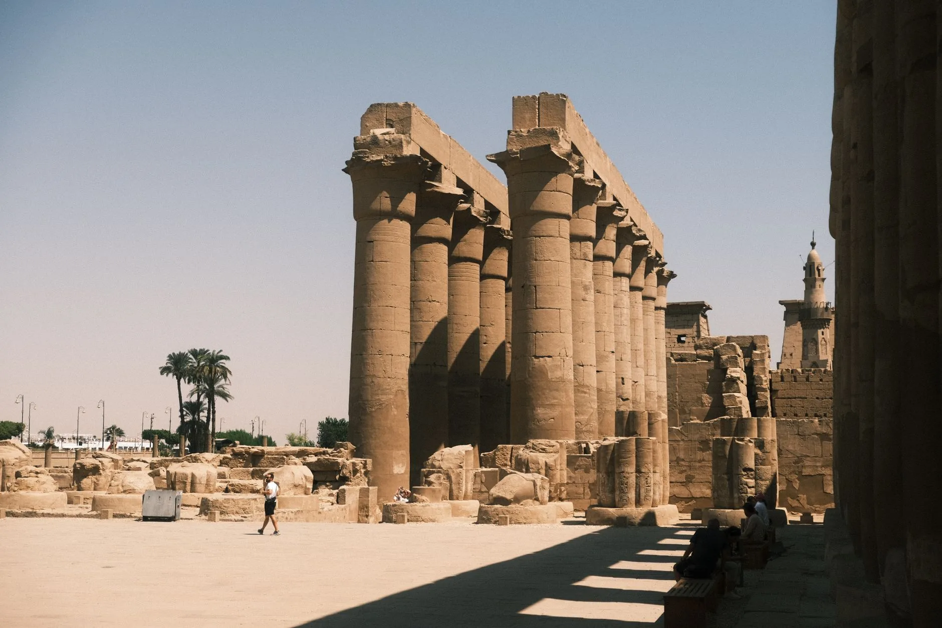 Stunning view of Luxor Temple's ancient columns in Egypt, showcasing historical architecture.
