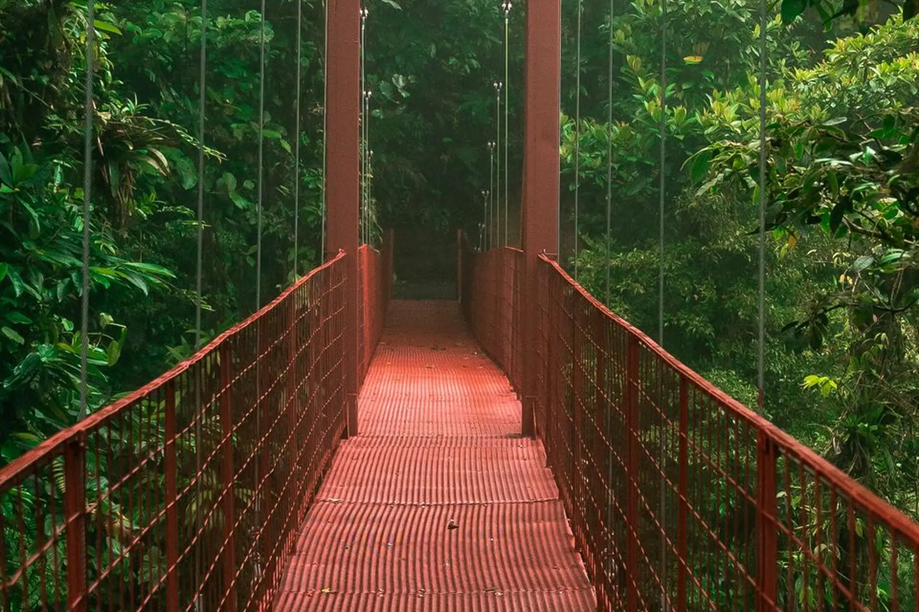 The red tower of a suspension bridge emerging through misty forest in Monteverde
