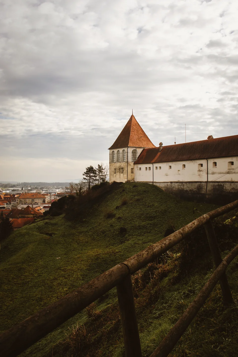 Ptuj Castle’s white walls and red roofs above the old-town slope