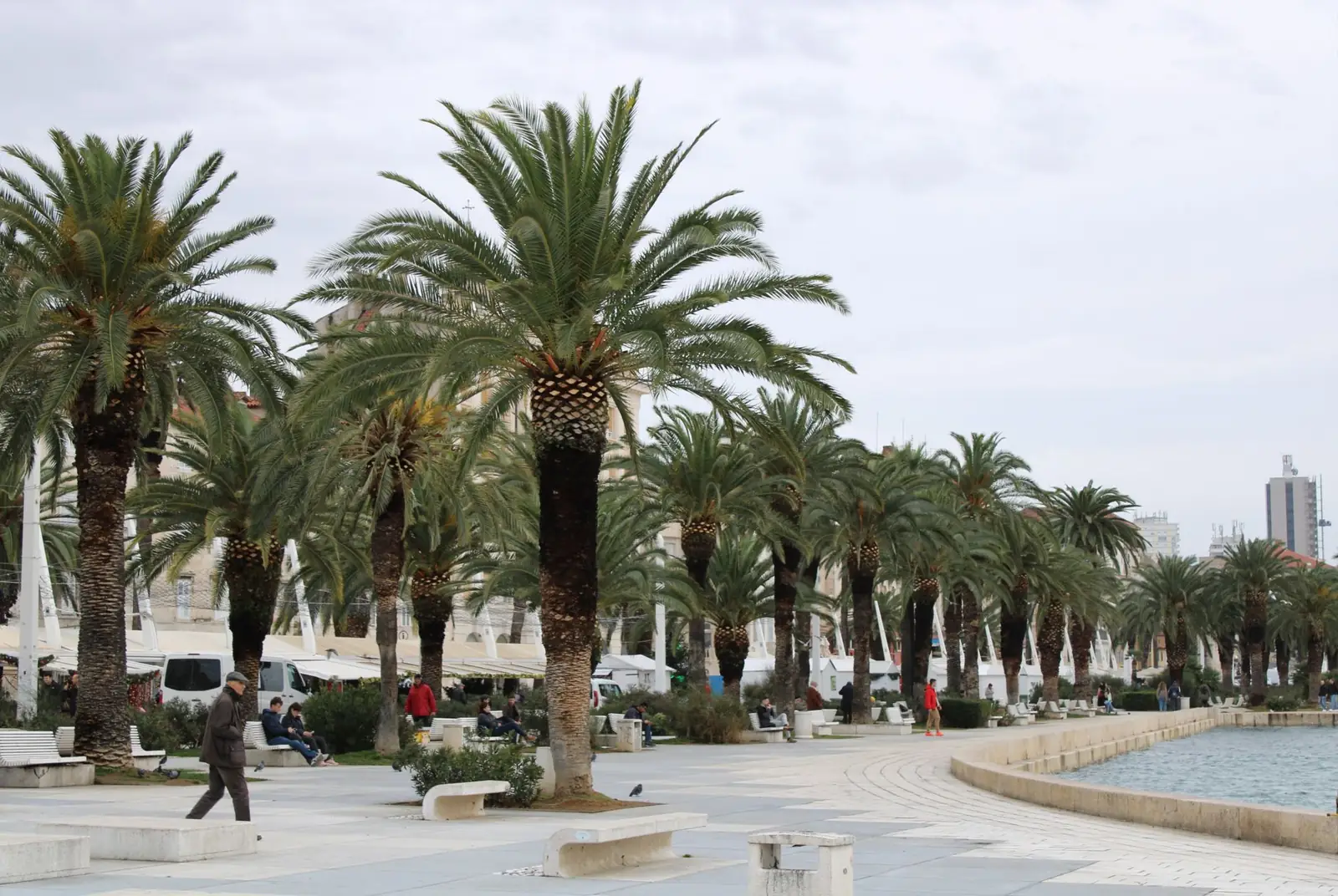 Palm-lined Riva waterfront in Split