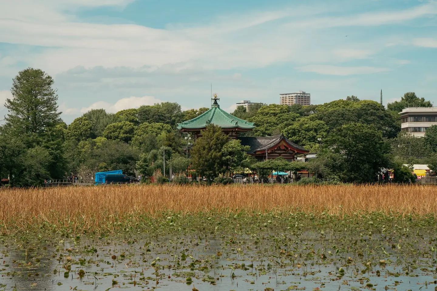Bentendo’s green roof above the lotus-covered Shinobazu Pond in Ueno Park