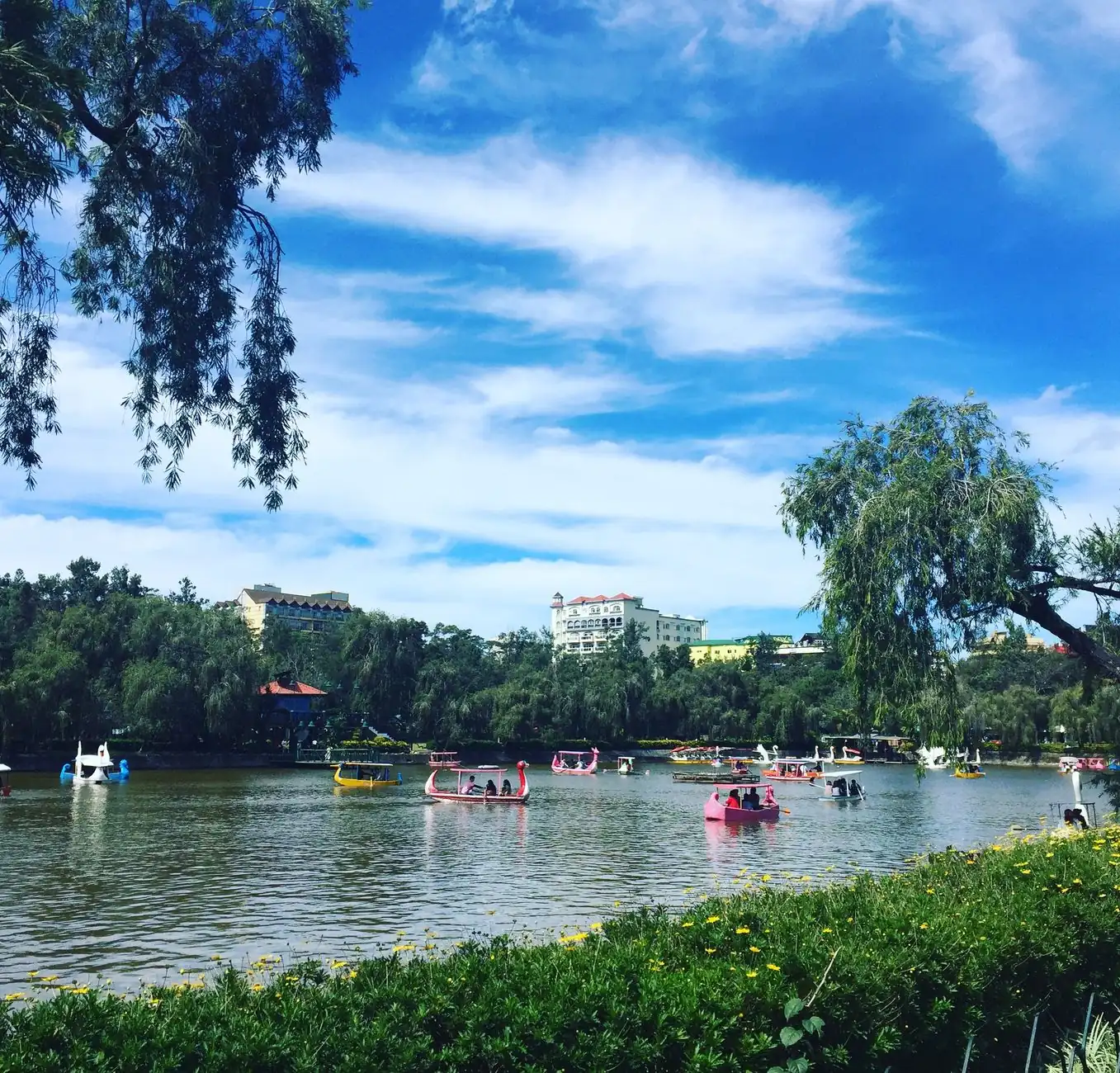 Boats on Burnham Lake with trees and central Baguio buildings beyond the water